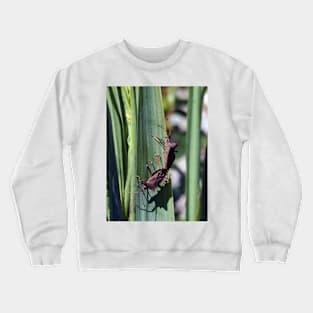 THE PANASONIC FZ  200 PAR OKAIO CREATION Crewneck Sweatshirt